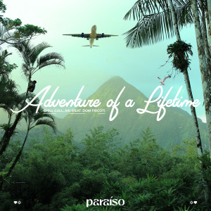 อัลบัม Adventure Of A Lifetime (feat. Dom Fricot) ศิลปิน Dom Fricot