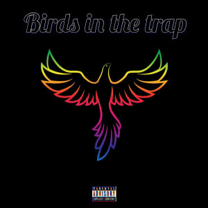ดาวน์โหลดและฟังเพลง Birds in the Trap (Explicit) พร้อมเนื้อเพลงจาก Trigga Tray