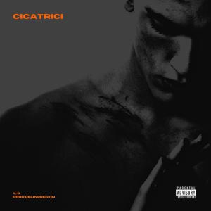 Il B的專輯CICATRICI (feat. Delinquentin) [Explicit]