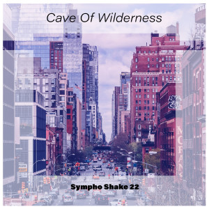 Album Cave of Wilderness Sympho Shake 22 from Various