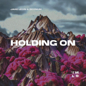 Listen to Holding On (Extended Mix) song with lyrics from Jake leon
