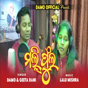 ดาวน์โหลดและฟังเพลง Malli Phula พร้อมเนื้อเพลงจาก Damo Hantal