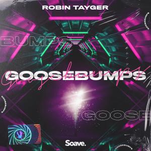 Robin Tayger的专辑Goosebumps (feat. Young Jae) (Explicit)