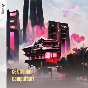 Listen to Cek Sound Campursari song with lyrics from Anang