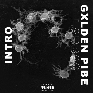 Listen to Larbas (Explicit) song with lyrics from Gxlden Pibe