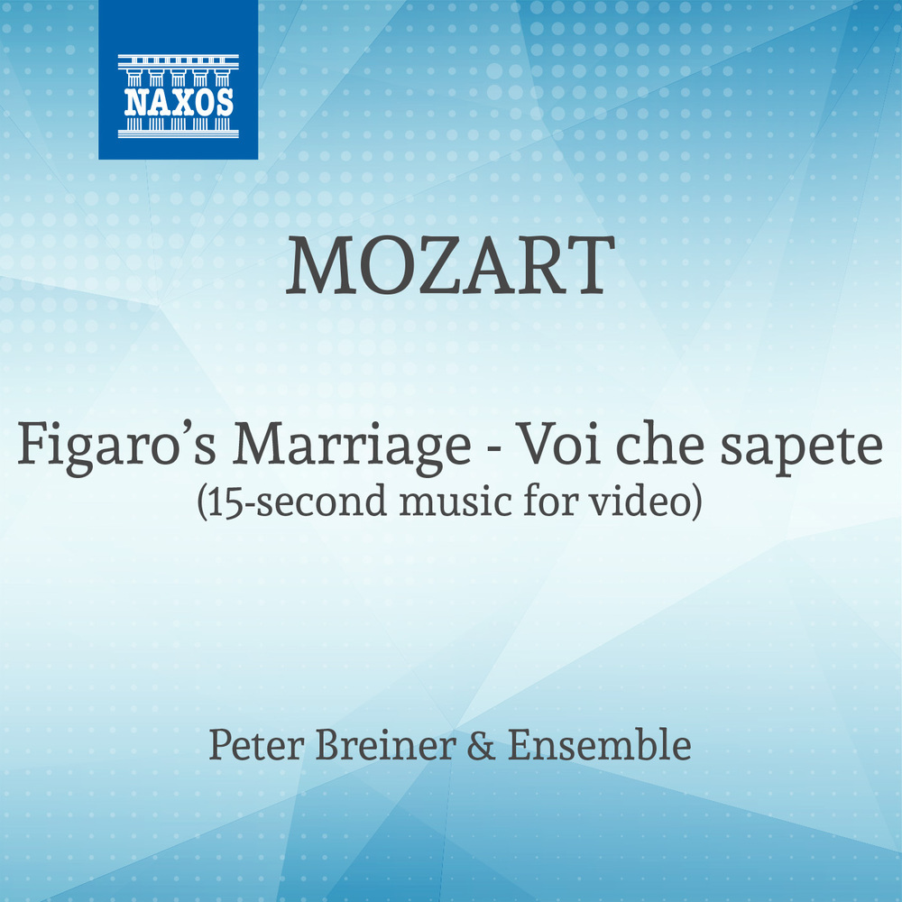 Figaro's Marriage - Voi che sapete (15 sec Version for Tiktok)