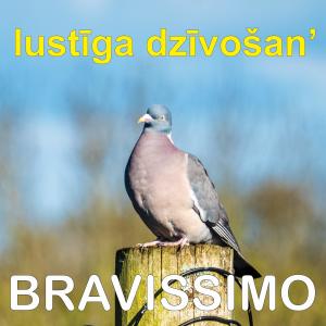 Bravissimo的专辑Lustiga Dzivosan