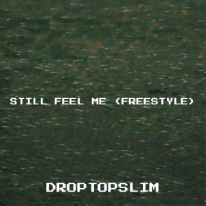 收听Droptopslim的Still Feel Me (Freestyle) (Explicit)歌词歌曲