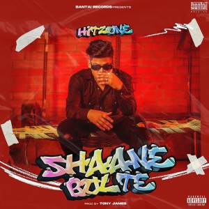 Listen to Shaane Bolte (Explicit) song with lyrics from Hitzone