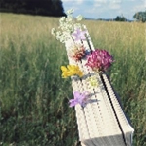 default album img
