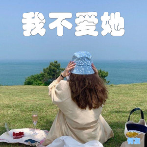 Dengarkan 万有引力旋律 (DJ何友版) lagu dari 何友 dengan lirik