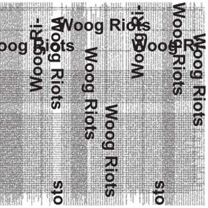 ดาวน์โหลดและฟังเพลง Why Are You a Skinhead Now? พร้อมเนื้อเพลงจาก Woog Riots