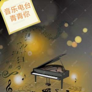 Listen to 夜空中最亮的星 song with lyrics from 叶子青