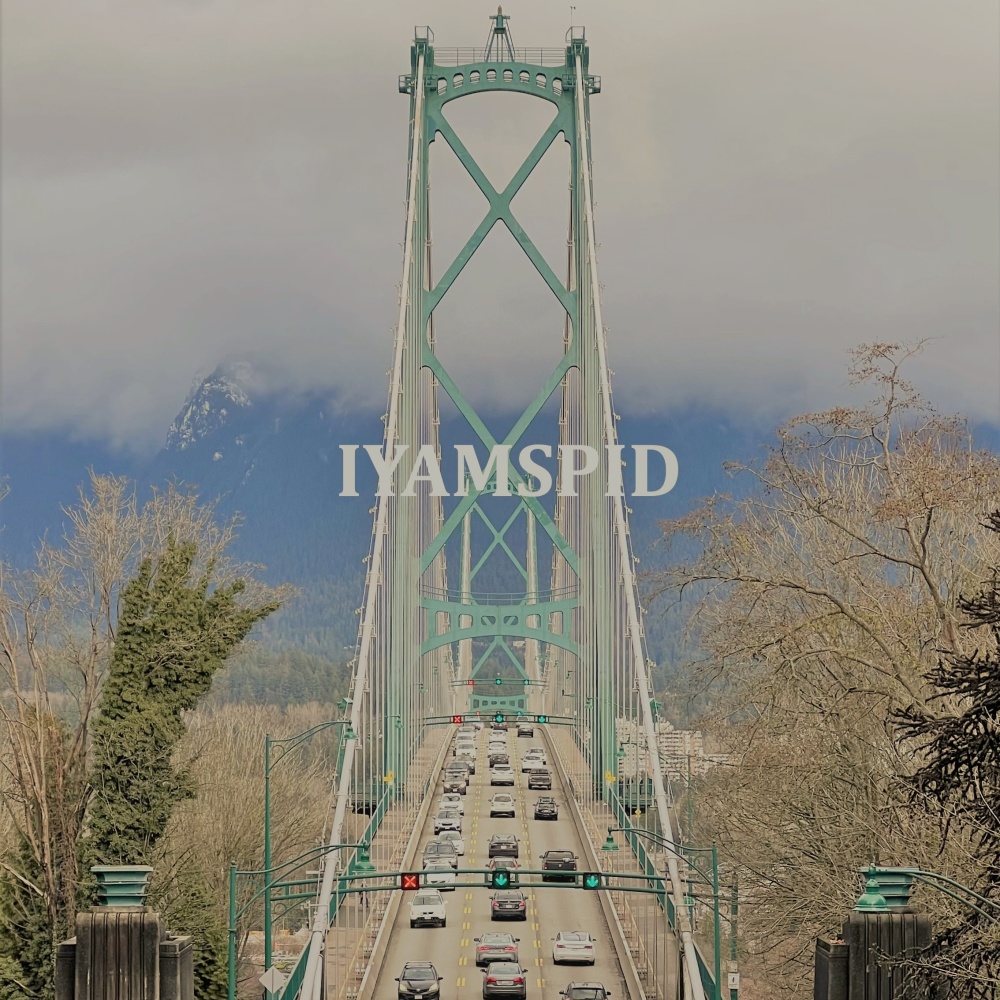 IYAMSPID