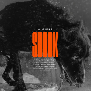 Album Shook (Explicit) from Algiers