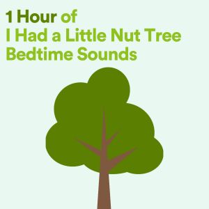 Piano Musique Académie pour Bébé的专辑1 Hour of I Had a Little Nut Tree Bedtime Sounds