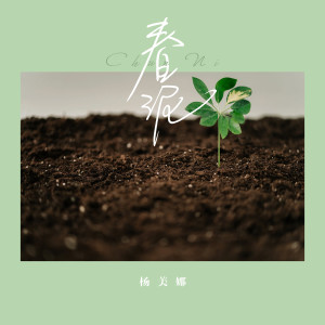 Listen to 春泥 (DJ版) song with lyrics from 杨美娜
