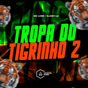 Listen to Tropa do Tigrinho 2 (Explicit) song with lyrics from DJHEY LK