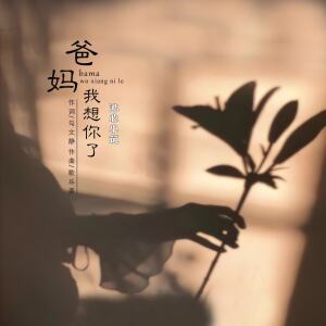 Listen to 爸妈我想你了 song with lyrics from 沁心小筑