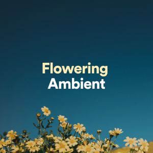 Album Flowering Ambient oleh Great Meditation Guru