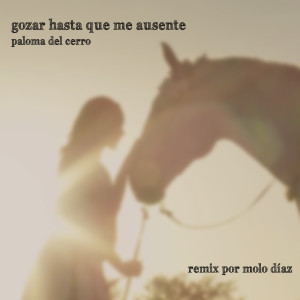 收聽Molo Díaz的Gozar Hasta Que Me Ausente (Remix)歌詞歌曲
