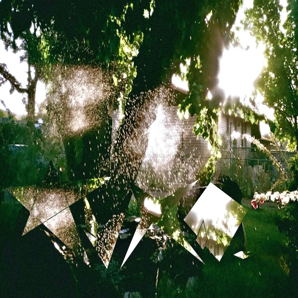 proximity