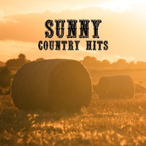 Sunny Country Hits (The Good Time with Western Music)