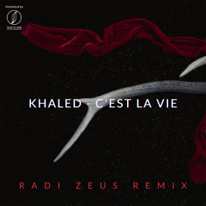 收听Khaled的C'est la vie (Radi Zeus Remix)歌词歌曲