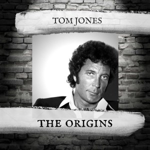 Dengarkan Green Green Grass Of Home lagu dari Tom Jones dengan lirik