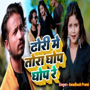 Listen to Dhodi Me Ghop Ghop Re song with lyrics from Awadhesh Premi