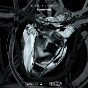 收聽Kayzo的FOREVER歌詞歌曲