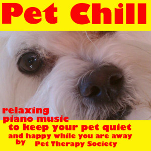 收聽Pet Therapy Society的Maine Coon Afternoon (Relaxing Piano Mix)歌詞歌曲