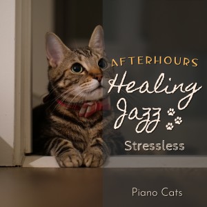 Album Healing Jazz:Afterhours - Stressless from Piano Cats