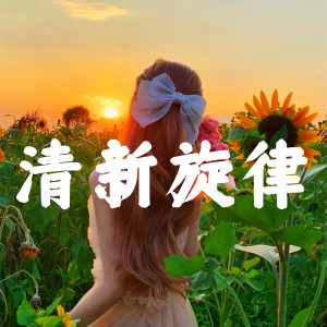 Dengarkan 清新旋律 lagu dari DJ多多 dengan lirik
