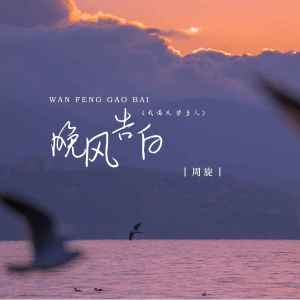 Listen to 晚风告白 (我遇见很多人) song with lyrics from 周旋