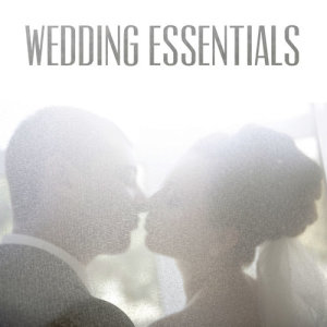 Wedding Maestro的專輯Wedding Essentials: Instrumental Music with Here Comes the Bride, Canon in D, Bless the Broken Road, And I Can Only Imagine