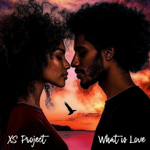 Listen to What Is Love song with lyrics from XS Project