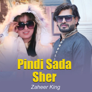 Listen to Pindi Sada Sher song with lyrics from Zaheer King