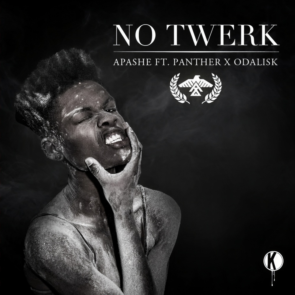 No Twerk feat. Panther X Odalisk (Original Mix|Explicit)