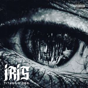 Listen to Understand Me (Explicit) song with lyrics from Titanium Cbg