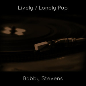 ดาวน์โหลดและฟังเพลง Lively พร้อมเนื้อเพลงจาก Bobby Stevens