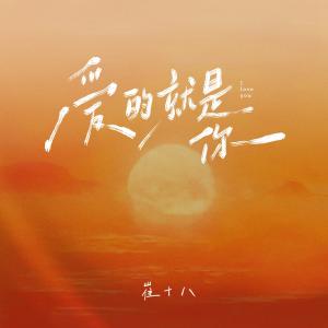 Album 爱的就是你 from 崔十八