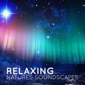 ดาวน์โหลดและฟังเพลง Copse Water พร้อมเนื้อเพลงจาก Relaxing Natural Sounds