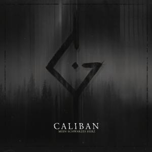 ดาวน์โหลดและฟังเพลง Mein schwarzes Herz พร้อมเนื้อเพลงจาก Caliban