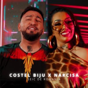 Listen to Seic de Romania song with lyrics from Costel Biju