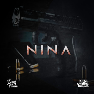 Album Nina (Explicit) from 