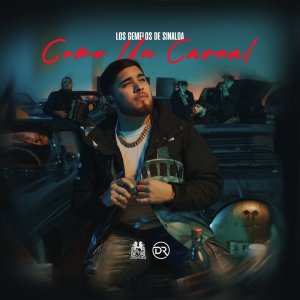 Los Gemelos De Sinaloa的專輯Como Un Carnal
