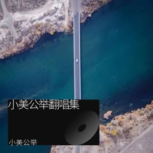 Listen to LOVE PARADISE (cover: 陈慧琳) (完整版) song with lyrics from 小美公举
