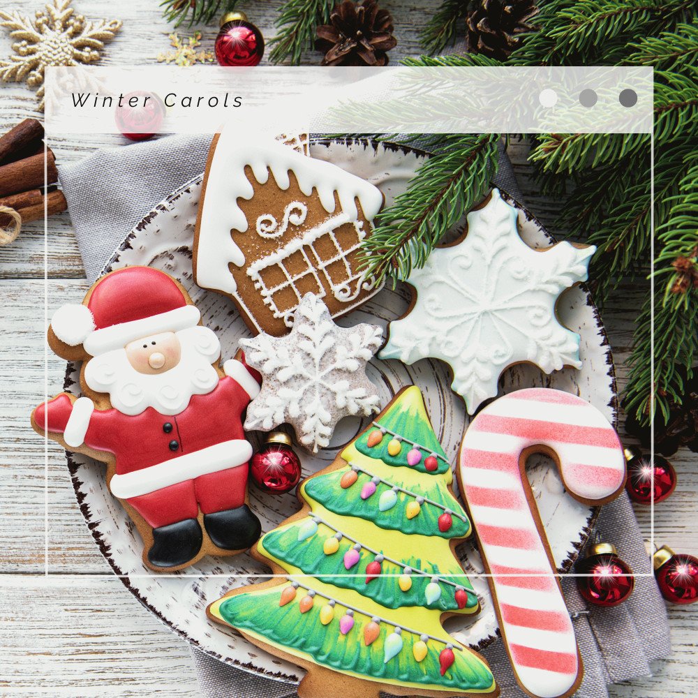 The Twelve Days of Christmas: Christmas Song