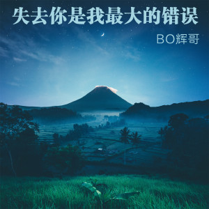 收听辉哥的失去你是我最大的错误 (伴奏)歌词歌曲